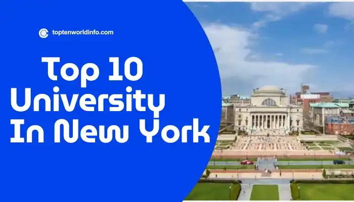 University in New York